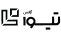 TIVA AGANCY LOGO
